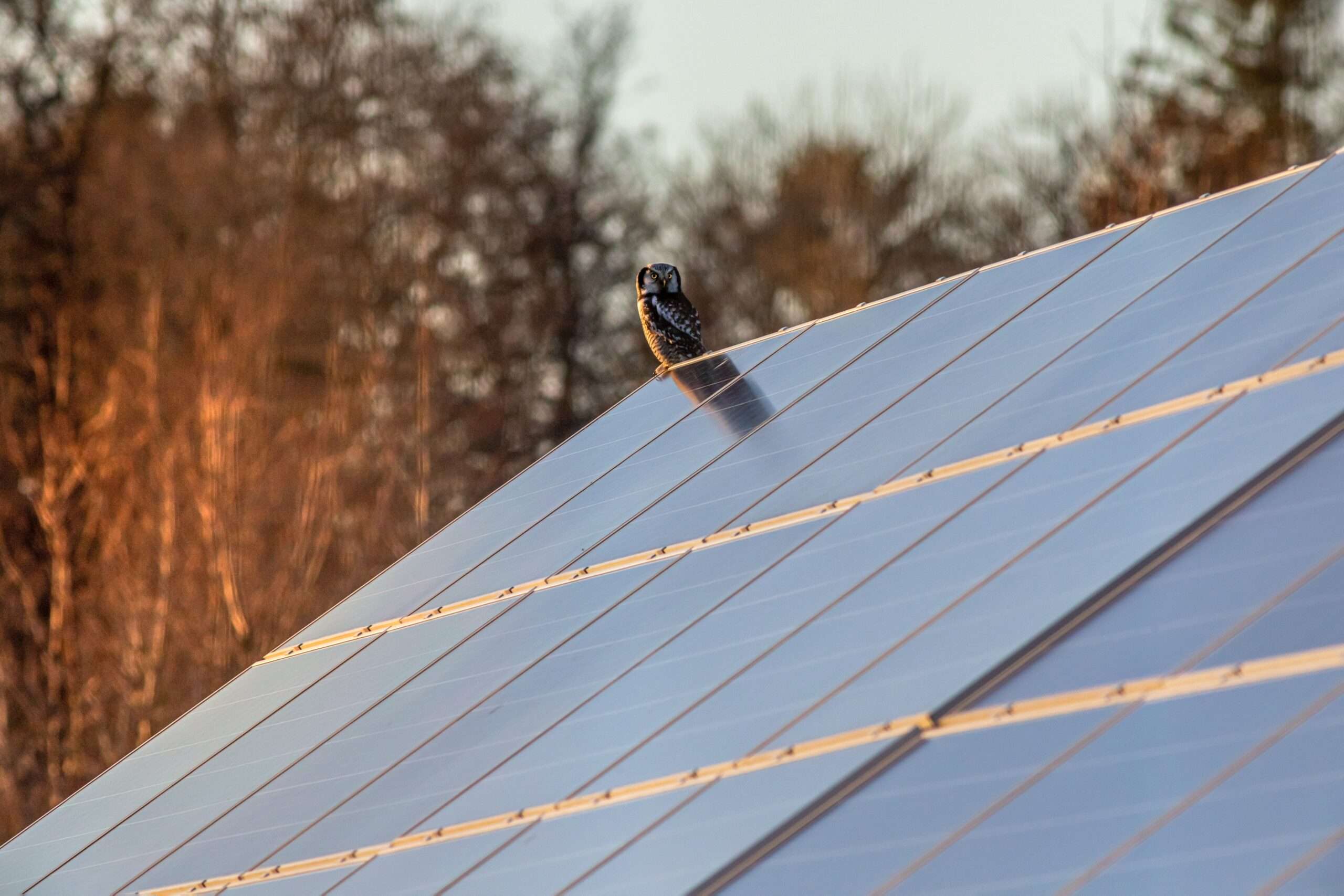 Solar Panels Horsham - Guildford, Surrey